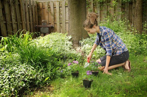 Dedicated gardener working in a lush landscape